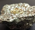 Miniatyrbillede 2 af 4: Titanium dekorativ ring CLICKER guld - TK-023 1.0/10