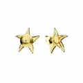 Pikkukuva 2 / 2: Naisten korvakorut Swarovski 5689668 Ruostumaton teräs 2 cm