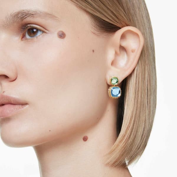 Øreringe til kvinder Swarovski 5692492 Gylden