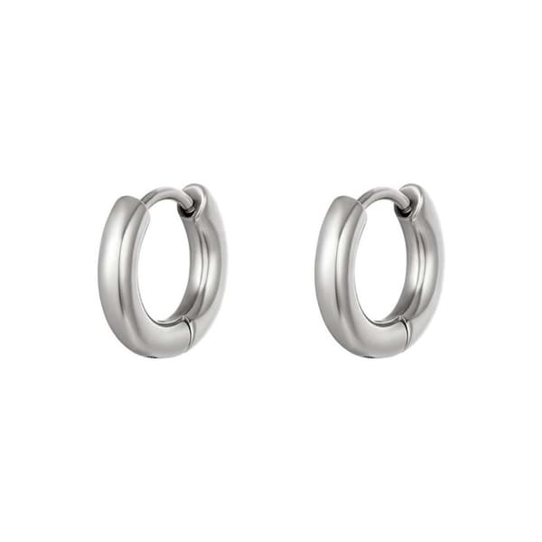 Creoler Hoops Örhängen i Rostfritt Stål Silver Small