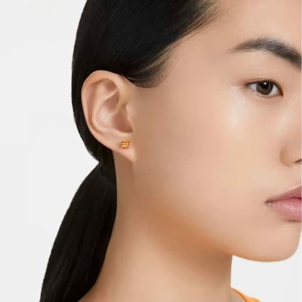 Øreringe til kvinder Swarovski 5639123