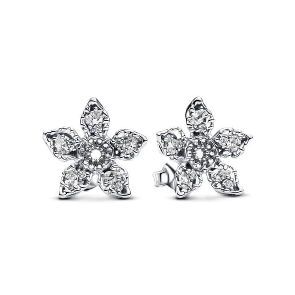 Dam örhängen Pandora 293573C01 Sterlingsilver 925 Silvrig