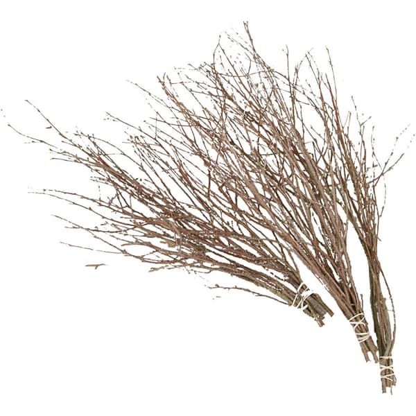 Påskris Grenar Av Björk - 20 buntar - Längd: 50 cm