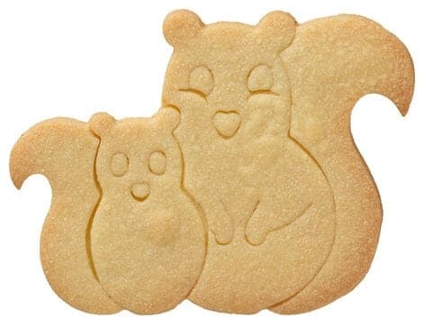 Cookie Cutter Squirrels