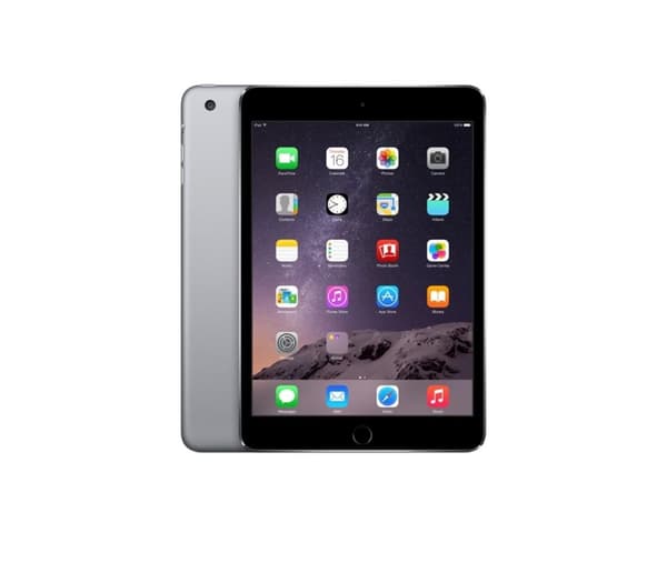 Apple iPad Mini 4 WiFi 16GB Space Gray - Slitet skick