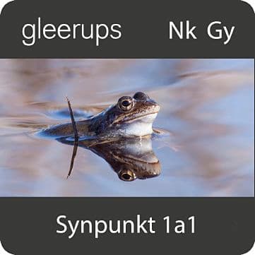 Synpunkt 1a1, digitalt läromedel, elev, 6 mån