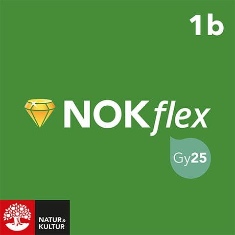 NOKflex Matematik 1b