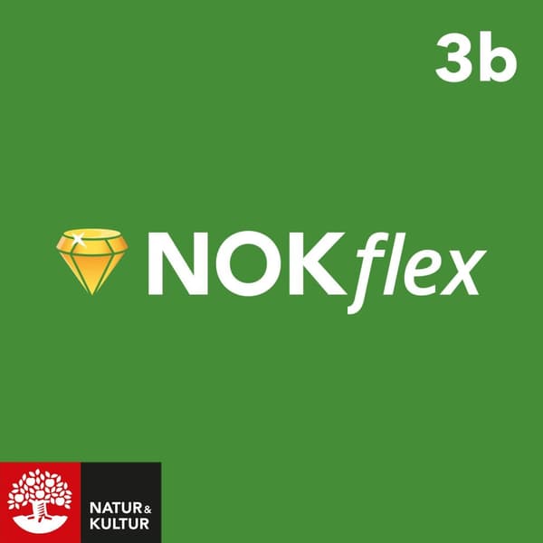NOKflex Matematik - fortsättning Nivå 1b (kurs 3b)