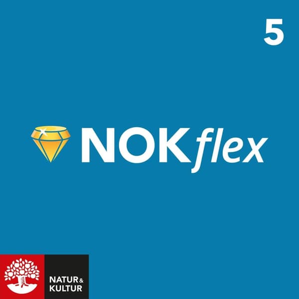 NOKflex Matematik 5