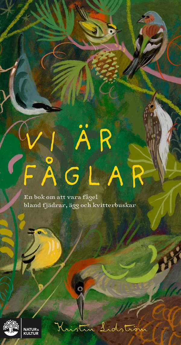 Vi är fåglar : En bok om att vara fågel bland fjädrar, ägg och kvitterbuskar - Digital - Laddas ner