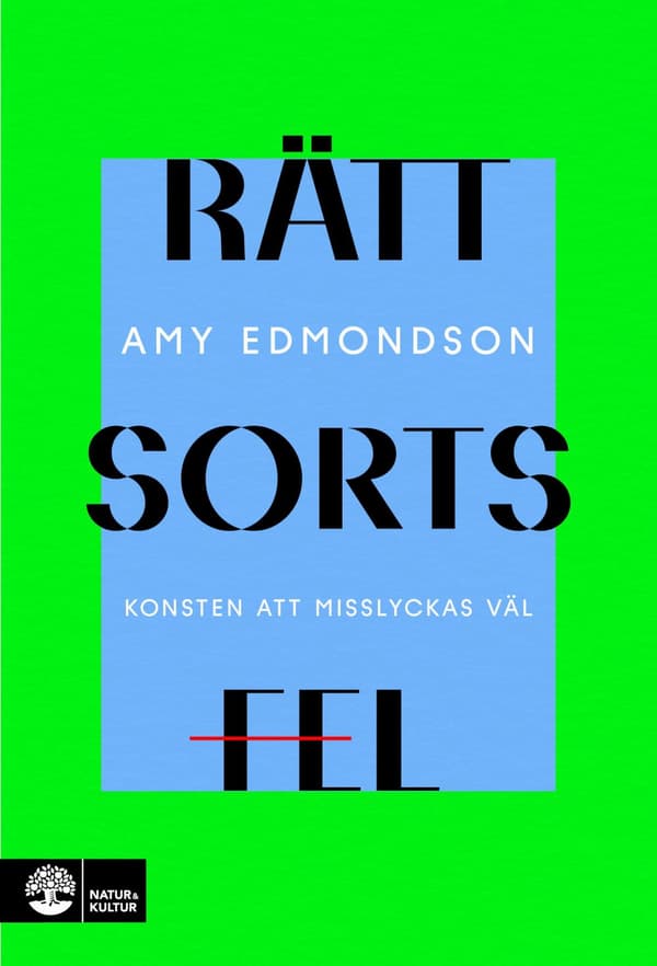 Rätt sorts fel : konsten att misslyckas väl - Digital - Laddas ner