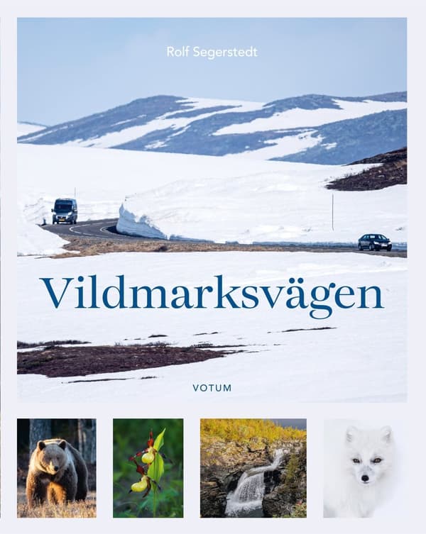 Vildmarksvägen