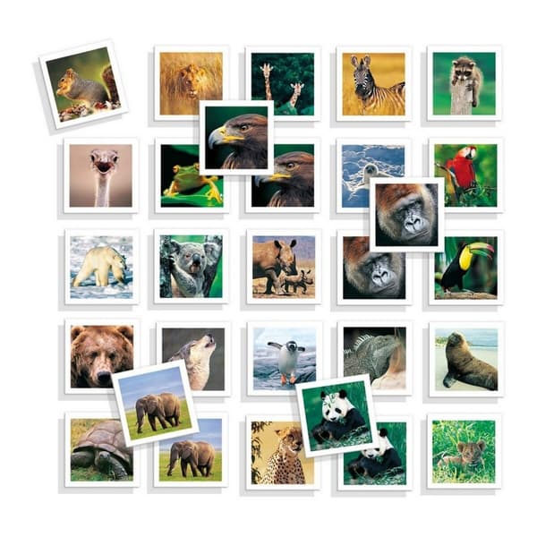Utbildningsspel Diset Memo Photo Animales 54 Delar