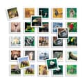 Miniatyrbild 3 av 5: Utbildningsspel Diset Memo Photo Animales 54 Delar