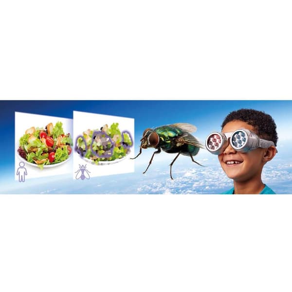 Brainstorm 362052 See The World Through Others' Eyes Naturvetenskap Läropaket från 6 år