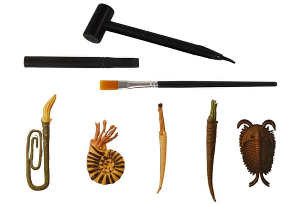 Ancient Creatures Excavation Set Ammonite Surprise