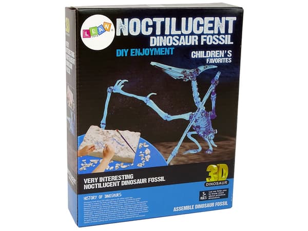 Archaeology Excavation Kit Dinosaur Skeleton Pteranodon 3D Hologram