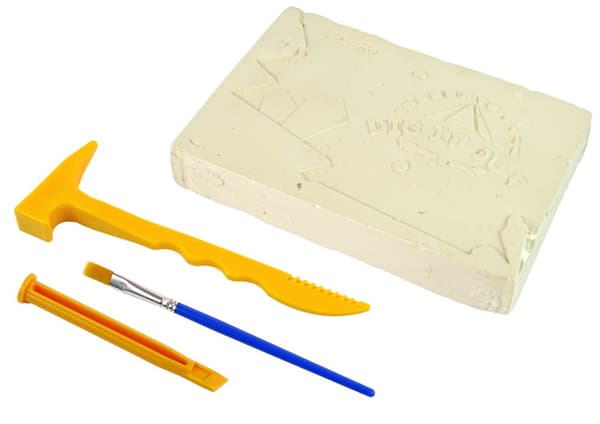 Excavation Discovery Set Marine Animals