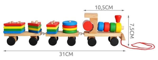 RoGer Wooden Educational Train Sorter Bricks