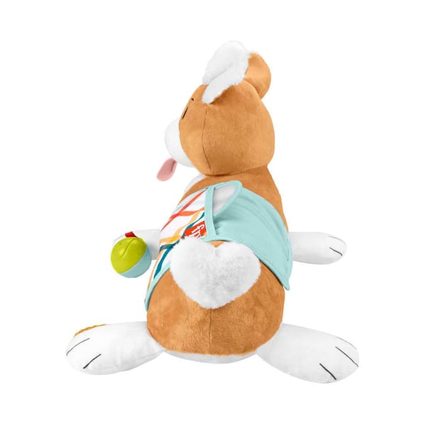 Fisher Price Pentutyyny 3 1 1 Koulutuspeli Monivärinen