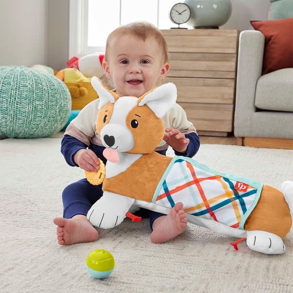 Fisher Price Pentutyyny 3 1 1 Koulutuspeli Monivärinen