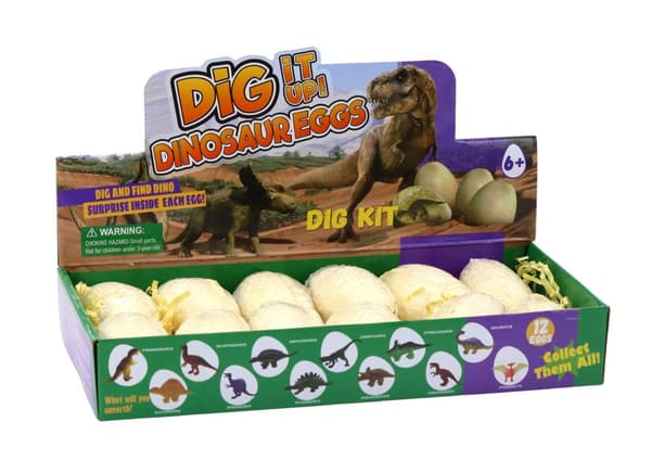 Arkæologisk udgravningssæt Dinosaurer Æg Kort 12 stk