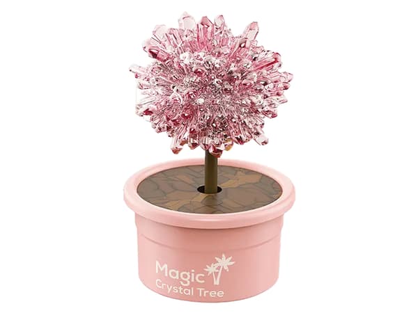 Magic Tree Crystalin kasvukokemuksia ruusu