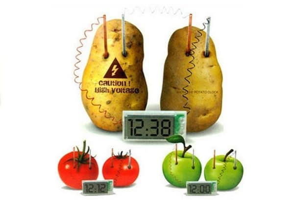 Potatis Eco Clock Creative Science Experiment Set
