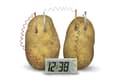 Miniatyrbild 2 av 3: Potatis Eco Clock Creative Science Experiment Set