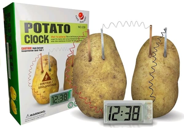 Potatis Eco Clock Creative Science Experiment Set