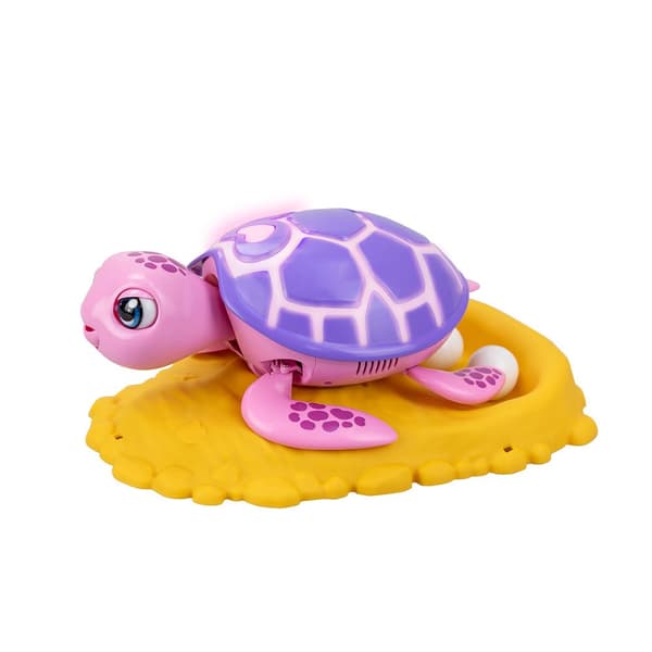 Salva Las Mascotas Sköldpaddan