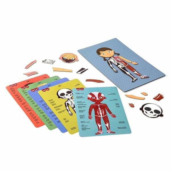 Utbildningsspel Apli Magnetic