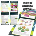 Miniatyrbild 5 av 7: Vetenskapsspel Lisciani Giochi Insectos ES (6 antal)