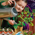 Miniatyrbild 7 av 7: Vetenskapsspel Lisciani Giochi Botánica ES (6 antal)