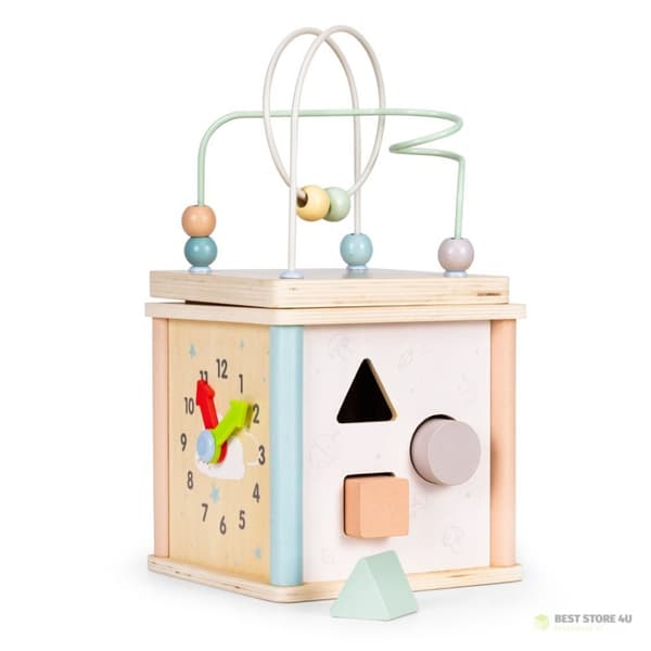 Puiset opettavaiset kuutiolajittelupalikat ECOTOYS