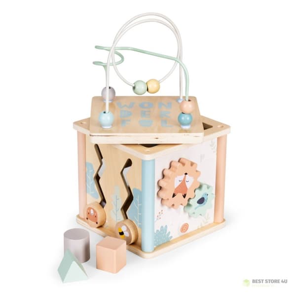 Puiset opettavaiset kuutiolajittelupalikat ECOTOYS