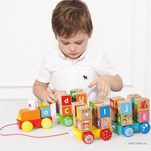 Trætog store pædagogiske alfabetklodser ECOTOYS