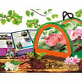Miniatyrbild 3 av 4: Science Game Lisciani Giochi