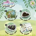 Miniatyrbillede 3 af 3: Science Game Educa Dream Gardens 3D