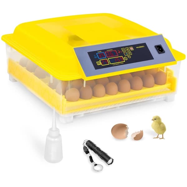 Incubato Äggkläckningsmaskin - 48 ägg - Inkl. ägglampa och vattendispenser - Helautomatisk