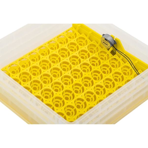 Hautomohautomo 112 kananmunalle 120 W + ovoskooppi
