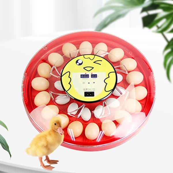 30 Ägginkubator, Automatisk Temperaturkontroll, LED-display, Hög Effektivitet