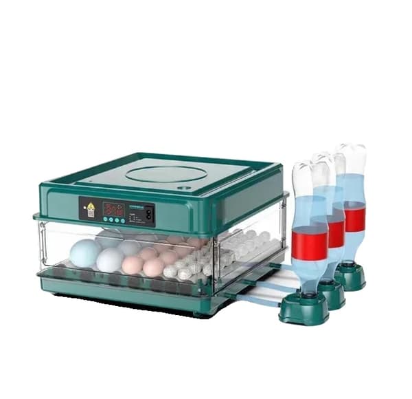 Ägginkubator, Automatisk Temperaturkontroll, Automatisk Vattenpåfyllning,EU, 15 Ägg  Grön