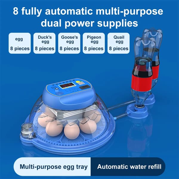 Ägginkubator, Automatisk Äggvändning, Intelligent Temperaturkontroll,8 ägg, EU-kontakt