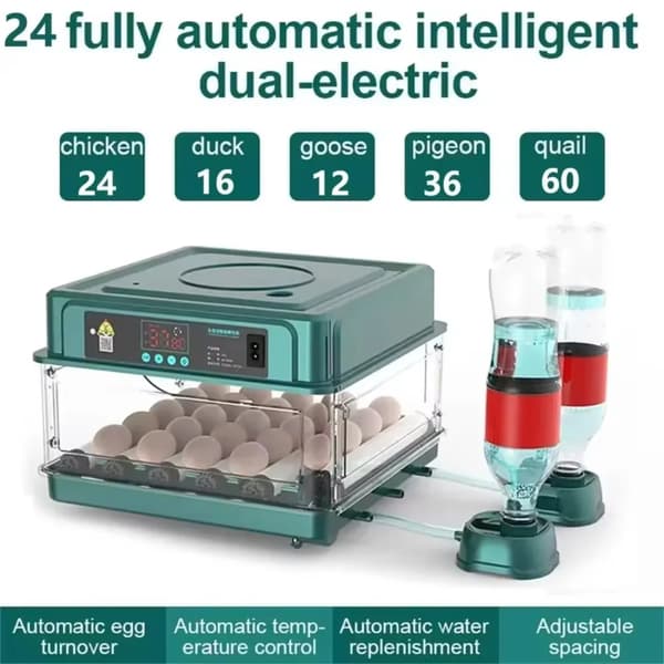 Munankuori, automaattinen munien kääntäminen, suuri kapasiteetti,24 munaa EU-plugi 220v