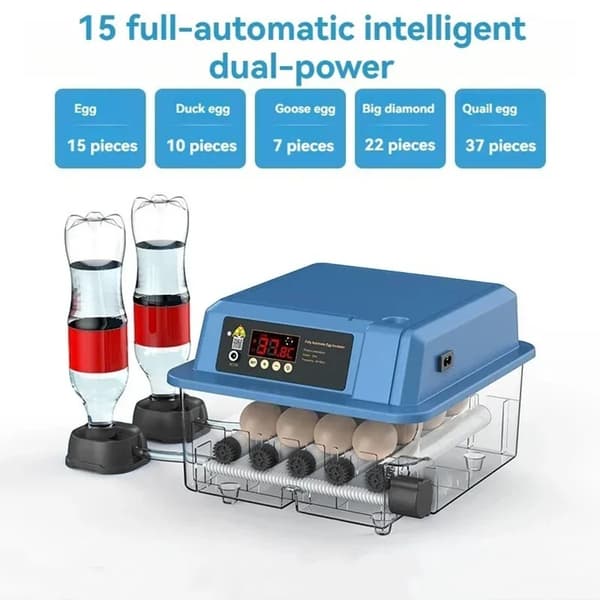 Automatisk Ägginkubator, Smart Temperaturkontroll, Justerbar Äggbricka,15 Ägg