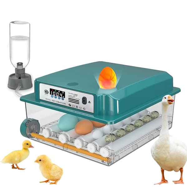 Ägginkubator, Automatisk Äggvändning, Stabil Temperaturkontroll,12-16 Ägg