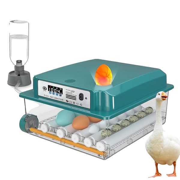 Ägginkubator, Automatisk Äggvändning, Stabil Temperaturkontroll,12-16 Ägg
