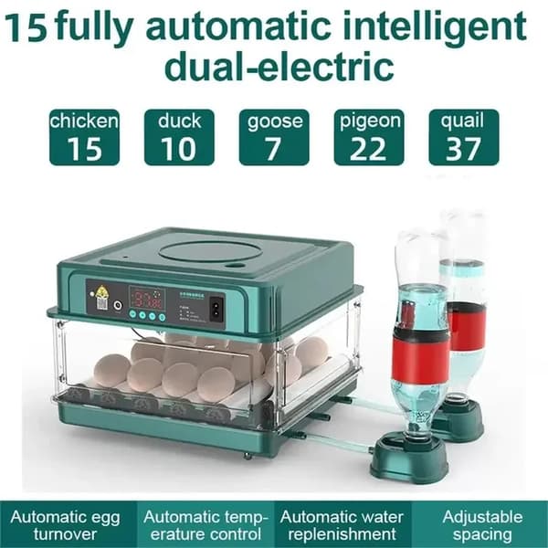 Automatisk äggkläckare, lådtypdesign, automatisk vattenpåfyllning, 15 ägg EU-kontakt 220v