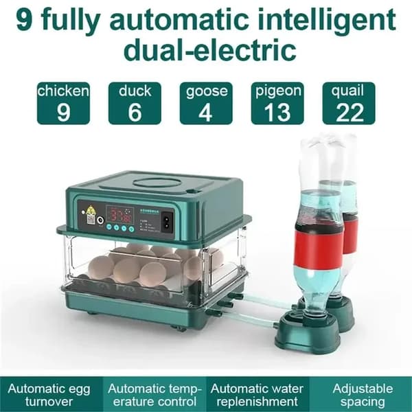 Automatisk äggkläckare, lådtypdesign, automatisk vattenpåfyllning, 9 ägg EU-kontakt 220v